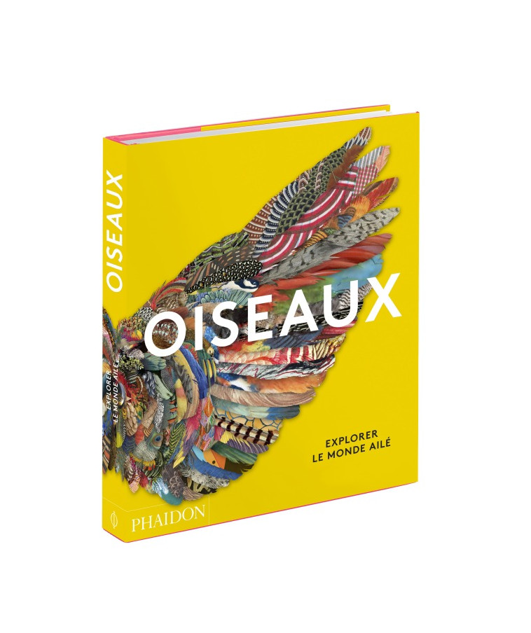 Oiseaux -  PHAIDON - PHAIDON FRANCE