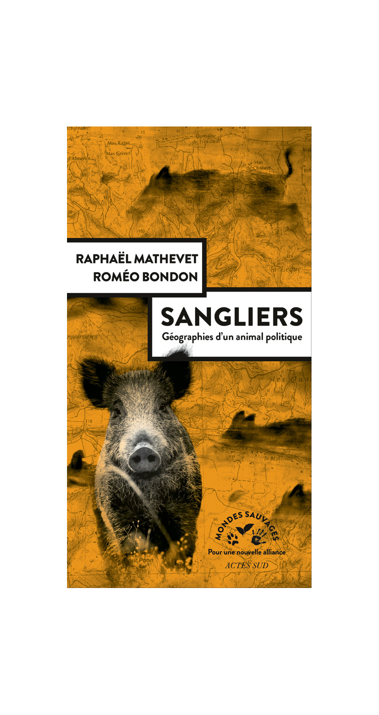 Sangliers, géographies d'un animal politique - Roméo Bondon, Raphaël Mathevet, Roméo Bondon, Raphaël Mathevet - ACTES SUD