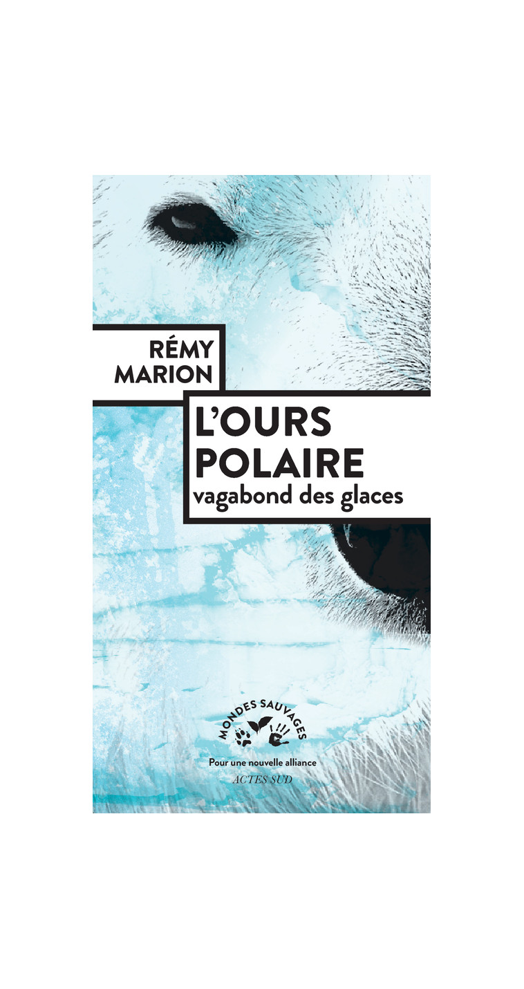 L'ours polaire, vagabond des glaces - Rémy Marion, Rick Bass, Rémy Marion - ACTES SUD