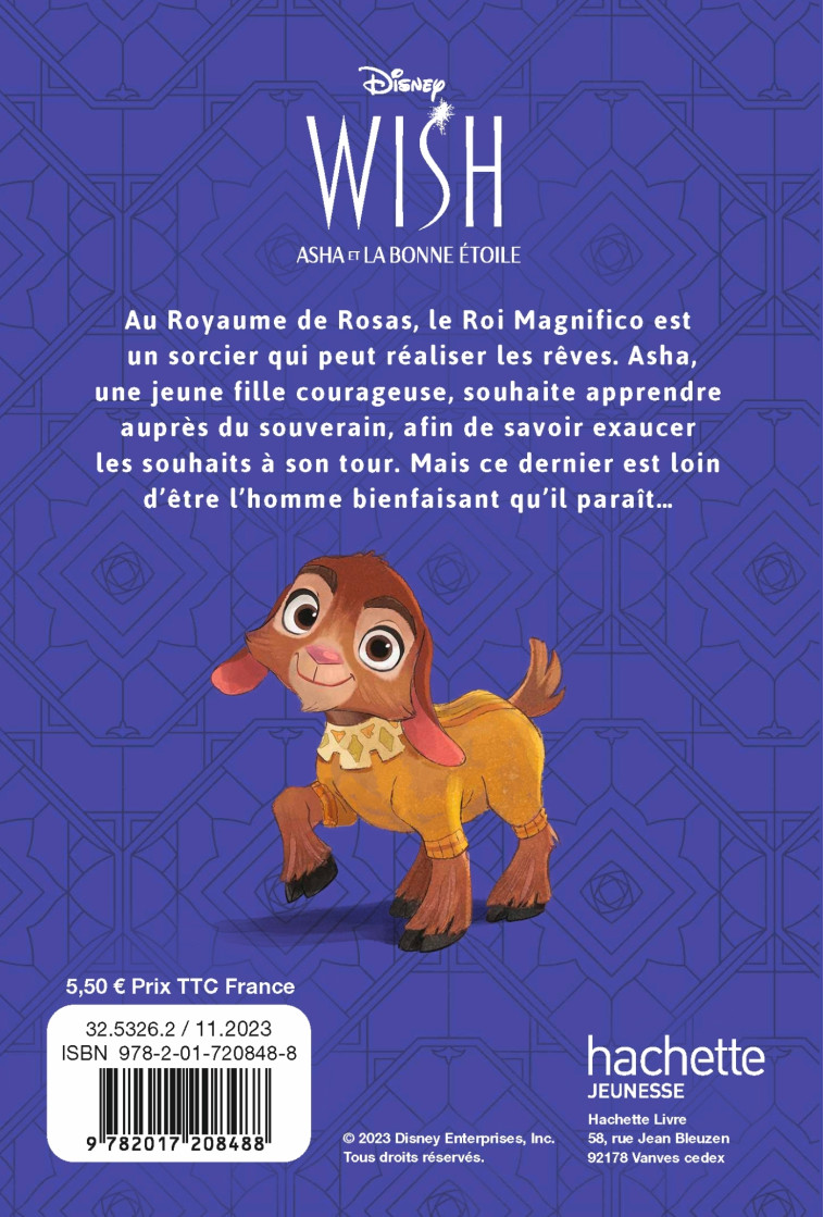 WISH, ASHA ET LA BONNE ÉTOILE - L'Histoire du Film - Disney - XXX - DISNEY HACHETTE