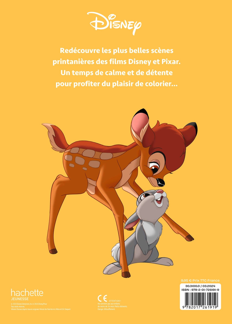 DISNEY TEENS - Atelier de coloriages - Scènes de printemps - XXX - DISNEY HACHETTE