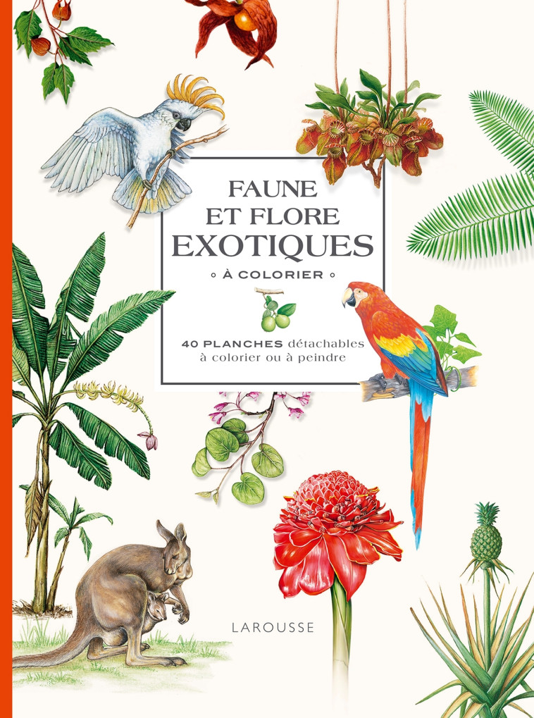 Faune et flore exotiques à colorier - XXX - LAROUSSE