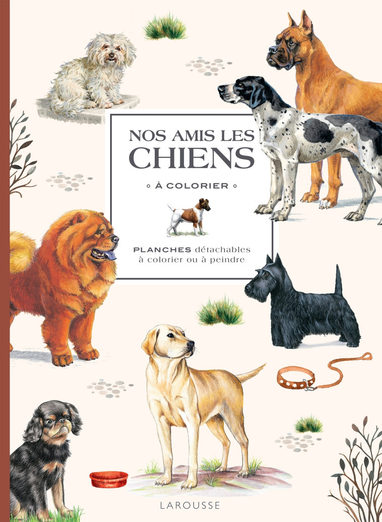 Nos amis les chiens à  colorier - XXX - LAROUSSE