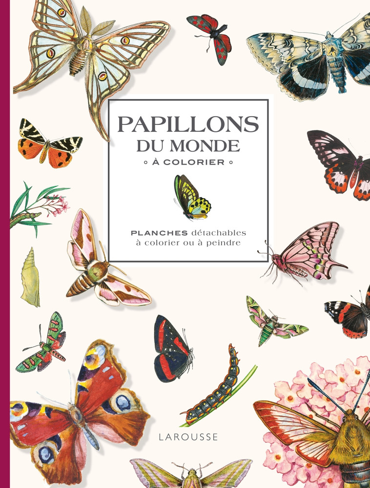 Papillons du monde à colorier - XXX - LAROUSSE