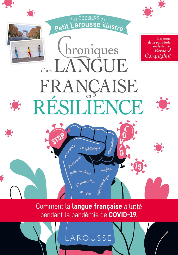 Chroniques d'une langue française en résilience - Bernard Cerquiglini - LAROUSSE