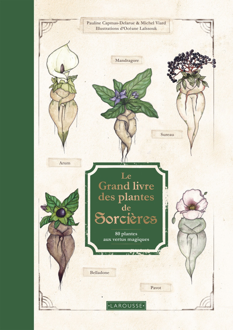 Le Grand Livre des plantes de sorcières - Michel Viard - LAROUSSE