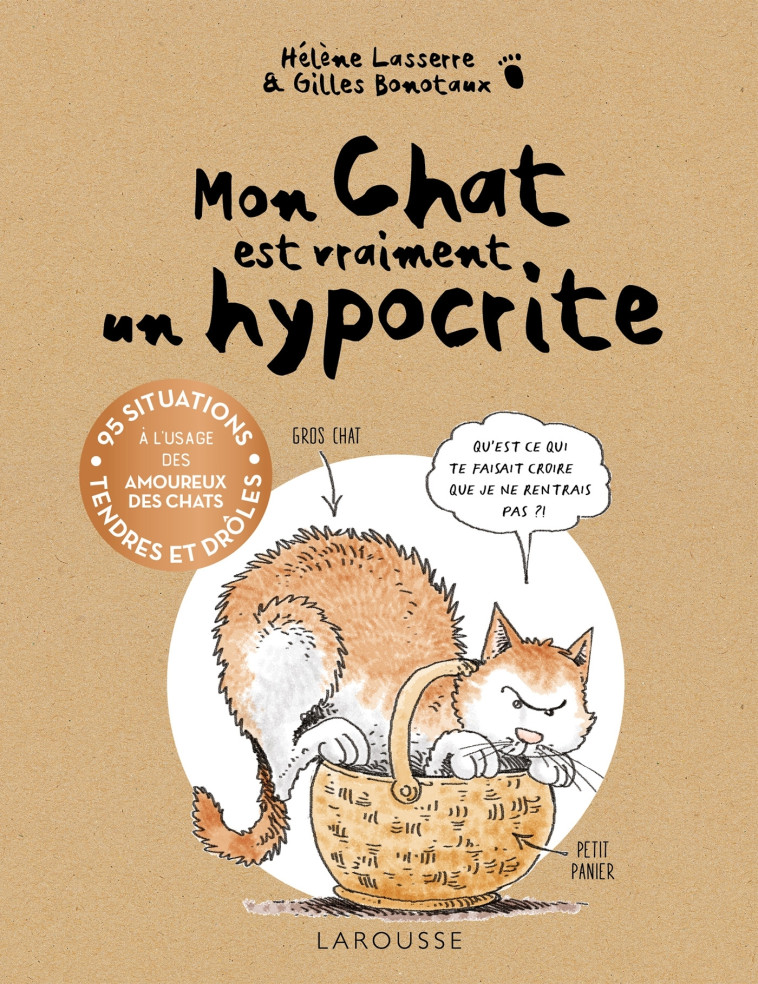 Mon chat est vraiment un hypocrite - Hélène Lasserre - LAROUSSE