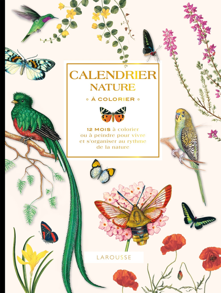 Calendrier nature à colorier - XXX - DESSAIN TOLRA