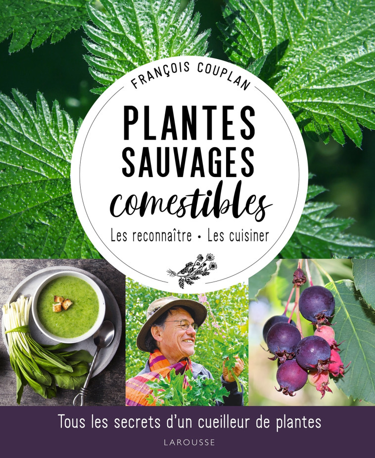 Plantes sauvages comestibles - François Couplan - LAROUSSE