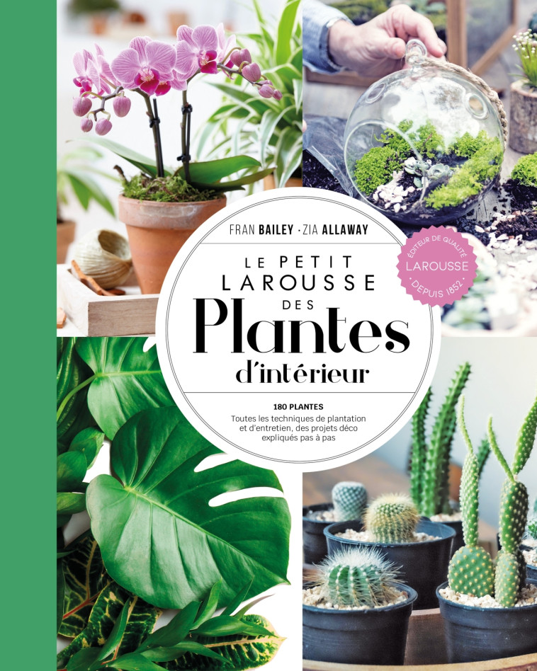 Petit Larousse des plantes d'intérieur - NP - Fran Bailey - LAROUSSE