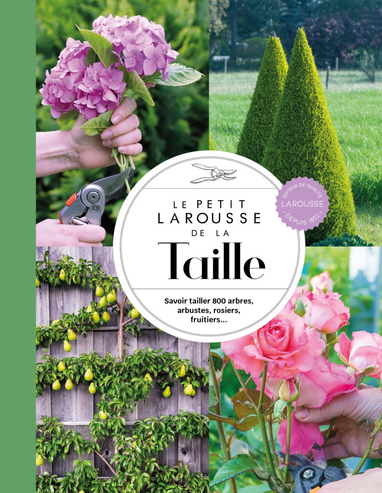 Le Petit Larousse de la taille -   - LAROUSSE