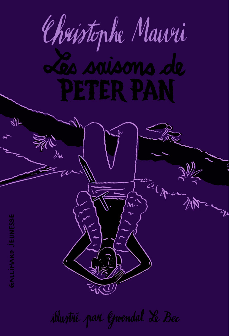 Les saisons de Peter Pan - Christophe Mauri - GALLIMARD JEUNE