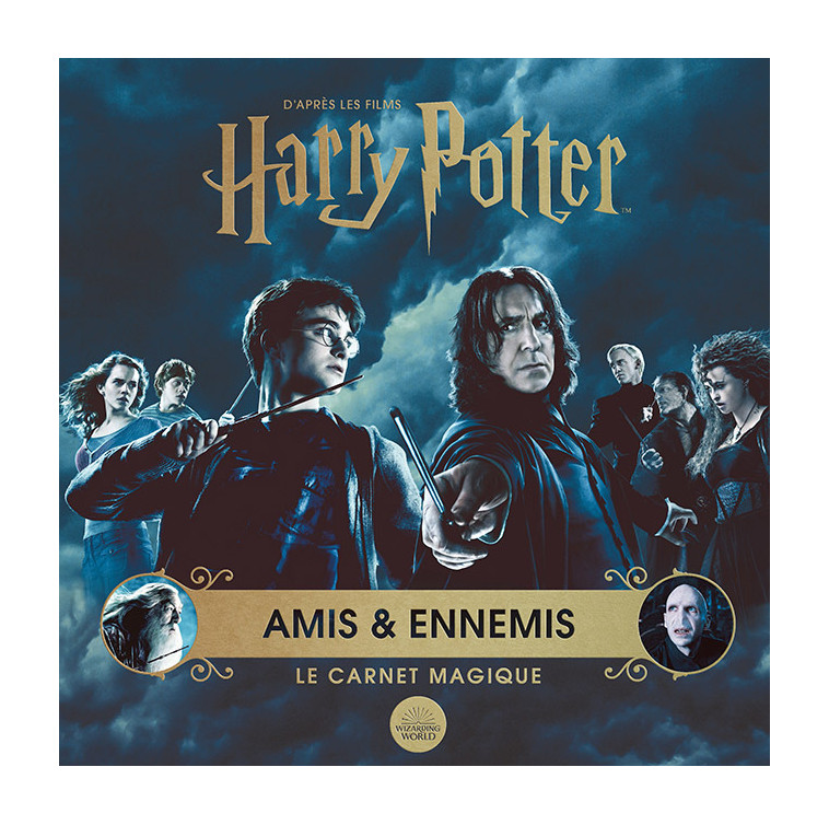 Harry Potter - Amis et ennemis - Jody Revenson - GALLIMARD JEUNE