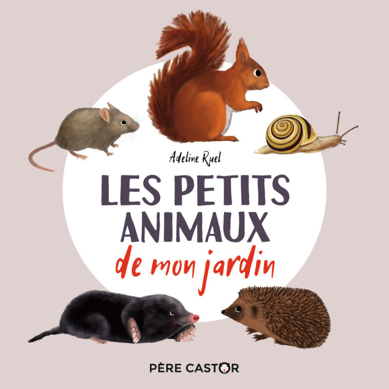 Les petits animaux de mon jardin - Adeline Ruel - PERE CASTOR