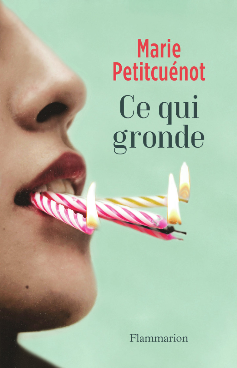 Ce qui gronde - Marie Petitcuénot - FLAMMARION