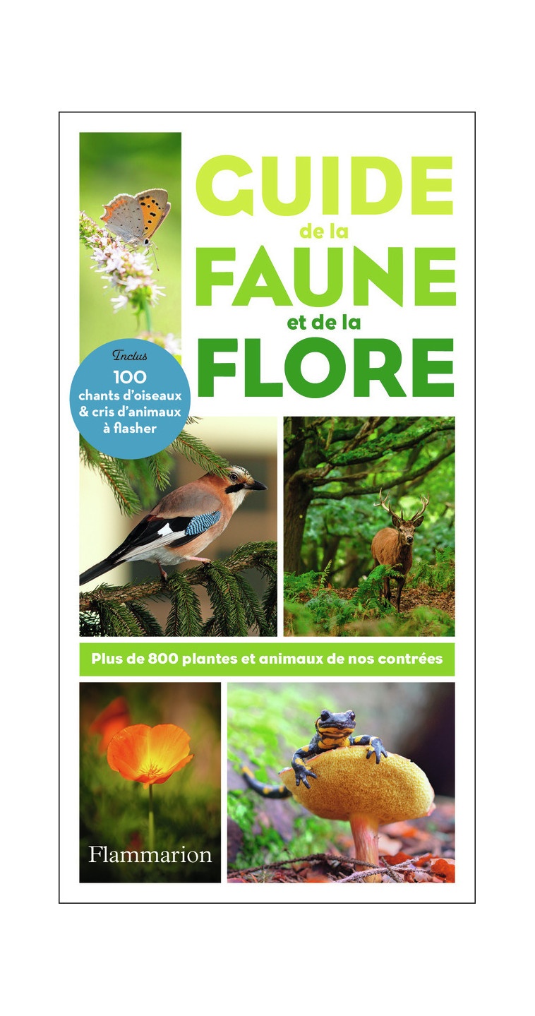 Guide de la faune et de la flore - Ute E. Zimmer - FLAMMARION