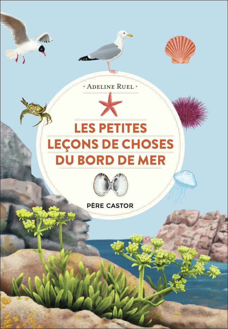 Les petites leçons de choses du bord de mer - Adeline Ruel - PERE CASTOR