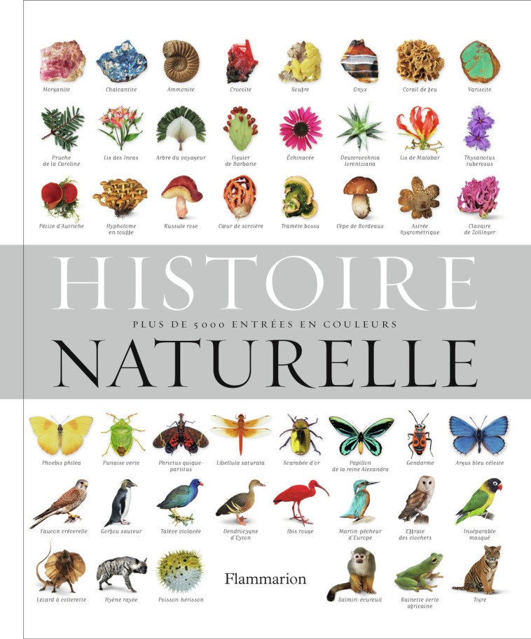 Histoire naturelle -  Collectif - FLAMMARION