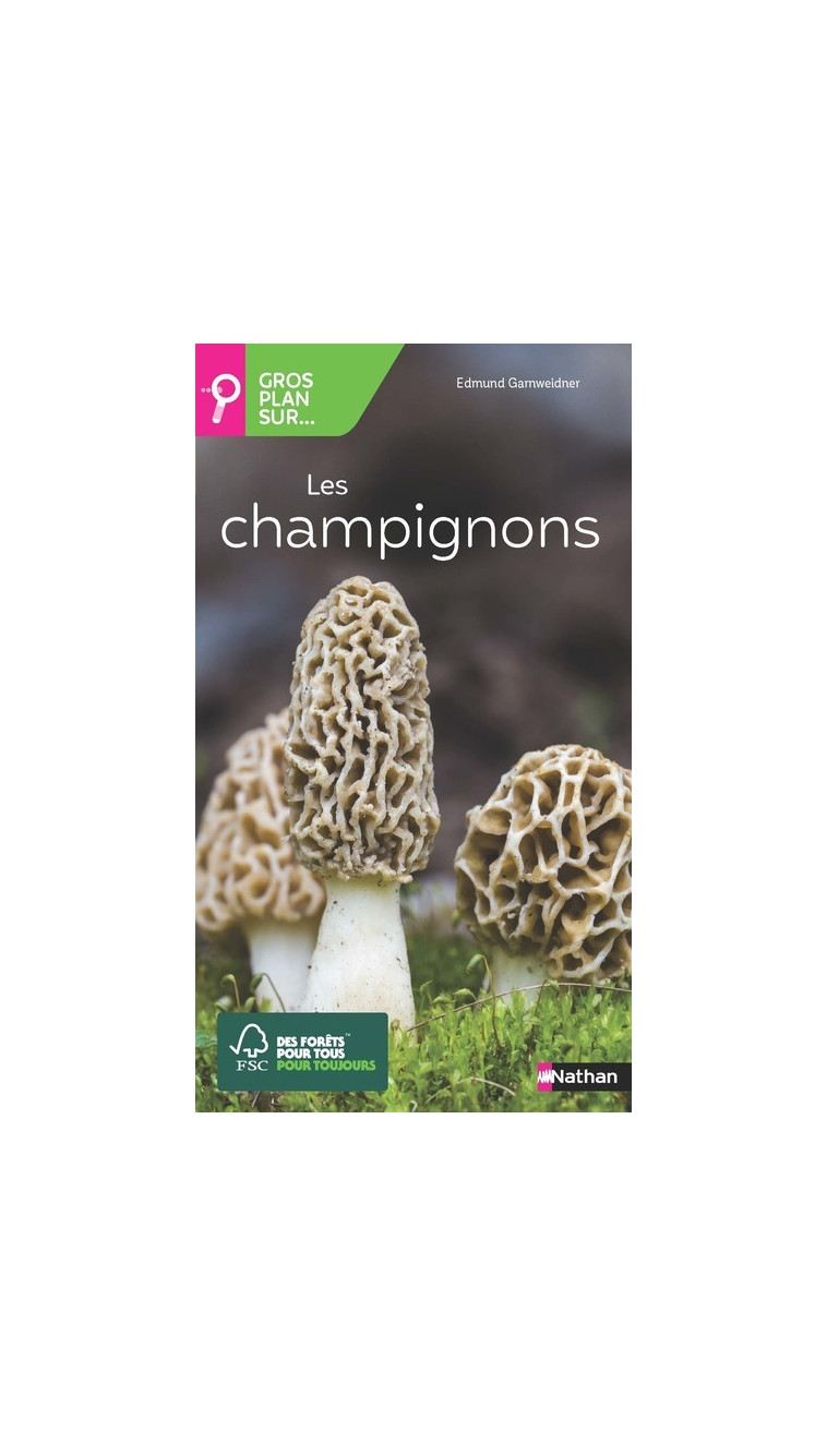 Gros plan sur les champignons - Edmund Garnweidner - NATHAN