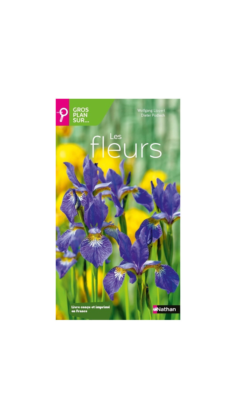 Gros plan sur les fleurs - Wolfgang Lippert - NATHAN