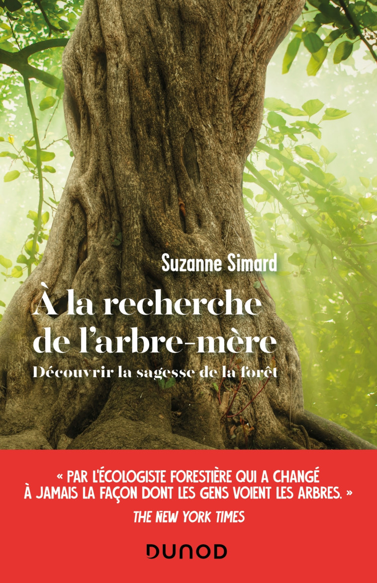 A la recherche de l'arbre-mère - Suzanne Simard - DUNOD