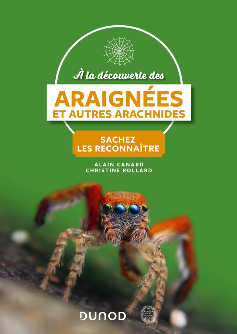 A la découverte des araignées et autres arachnides - Alain CANARD - DUNOD