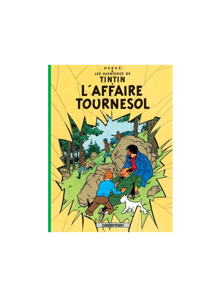 L'Affaire Tournesol -  Hergé - CASTERMAN