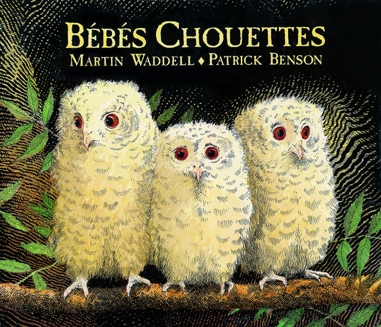 Bébés chouettes - Martin Waddell - EDL