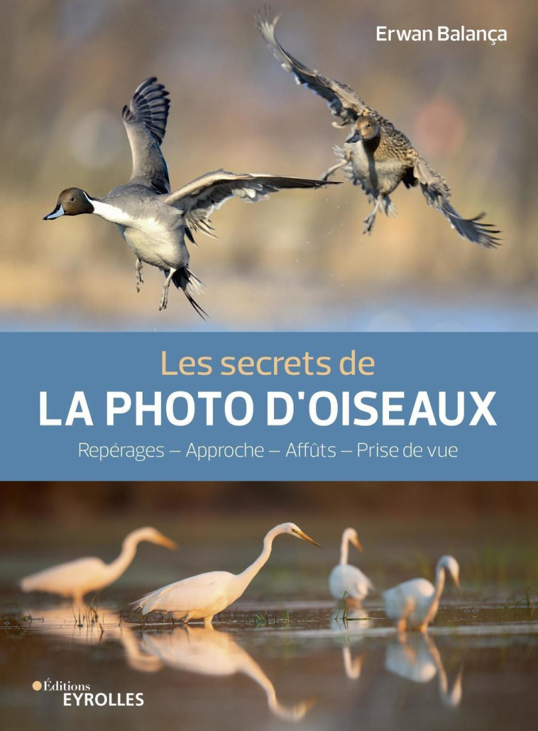 Les secrets de la photo d'oiseaux - Erwan Balança - EYROLLES