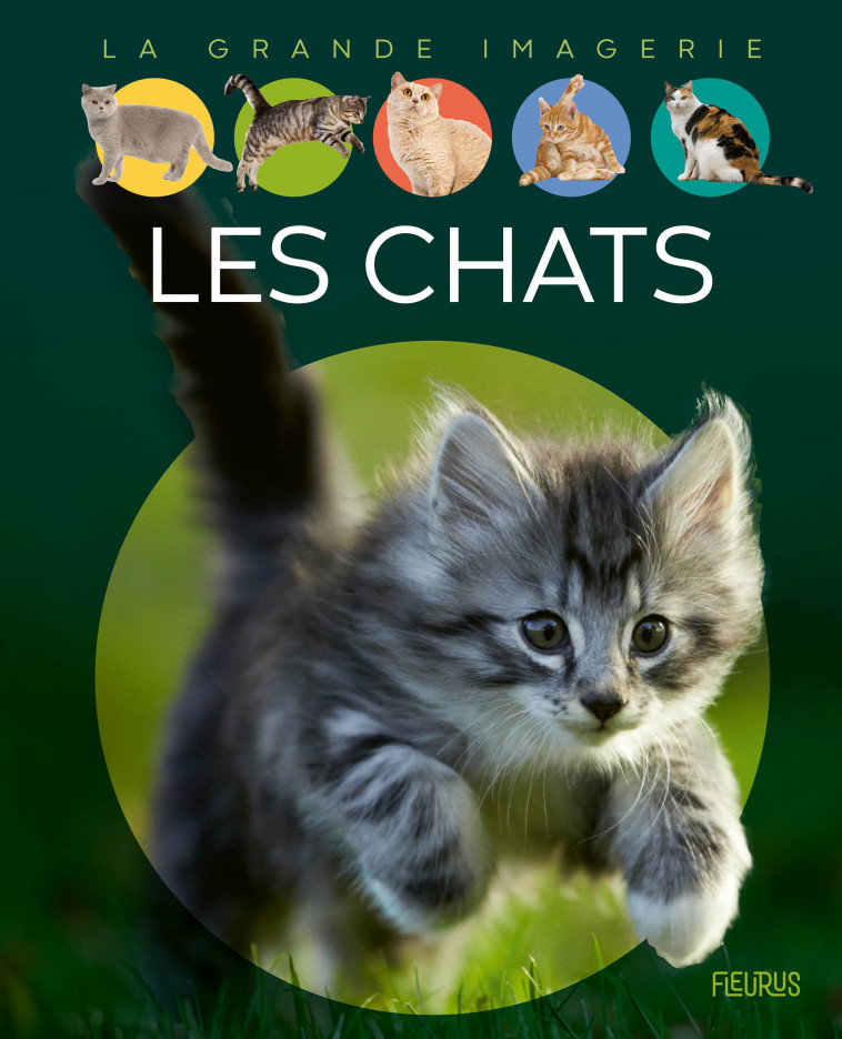 Les chats - Agnès Vandewiele - FLEURUS