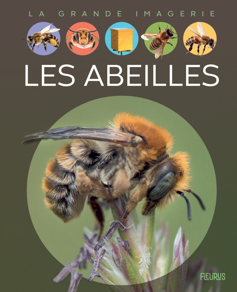 Les abeilles - Sabine Boccador - FLEURUS