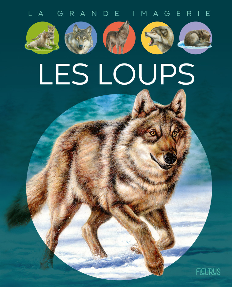 Les loups - Agnès Vandewiele - FLEURUS