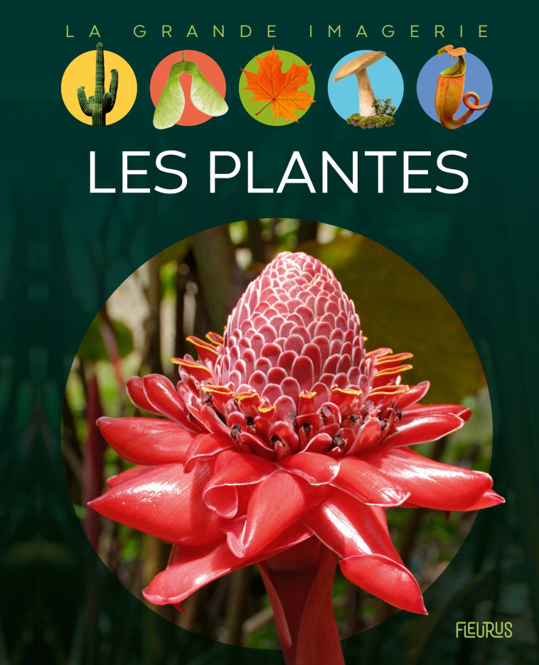 Les plantes - Sabine Boccador - FLEURUS