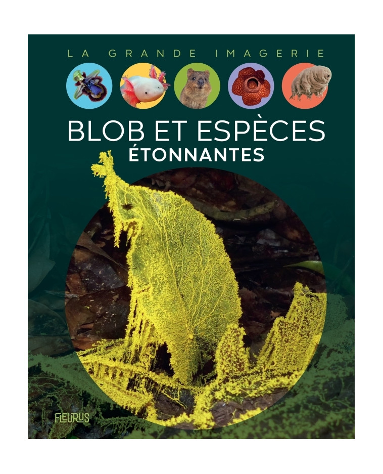 Blob et espèces étonnantes - Manon Ternois - FLEURUS