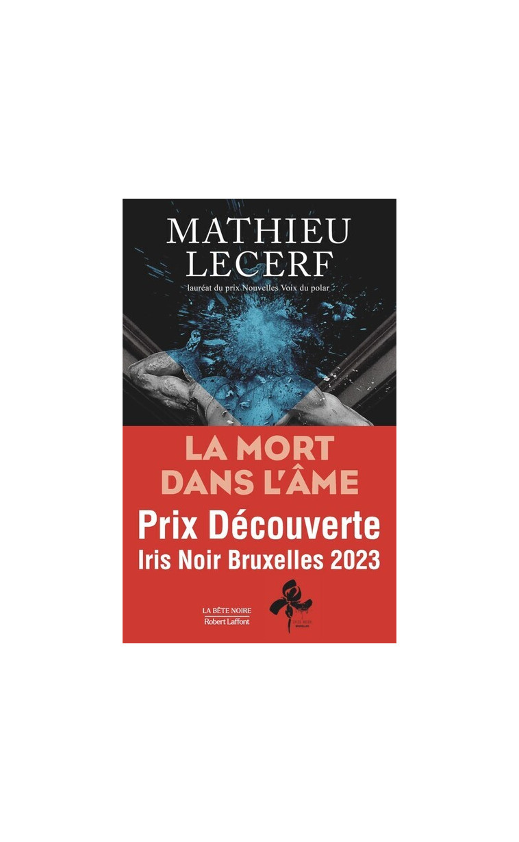 La Mort dans l'âme - Mathieu Lecerf - ROBERT LAFFONT