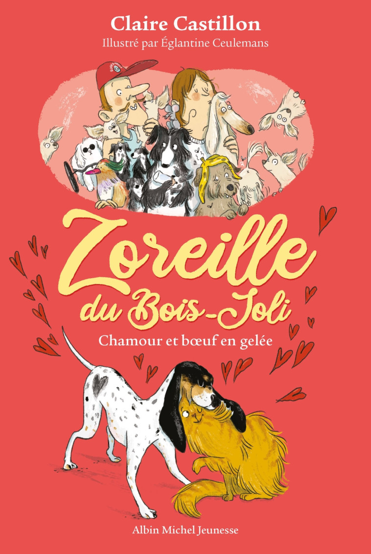 Zoreille du Bois-Joli T2 Chamour et boeuf en gelé - Claire Castillon - ALBIN MICHEL