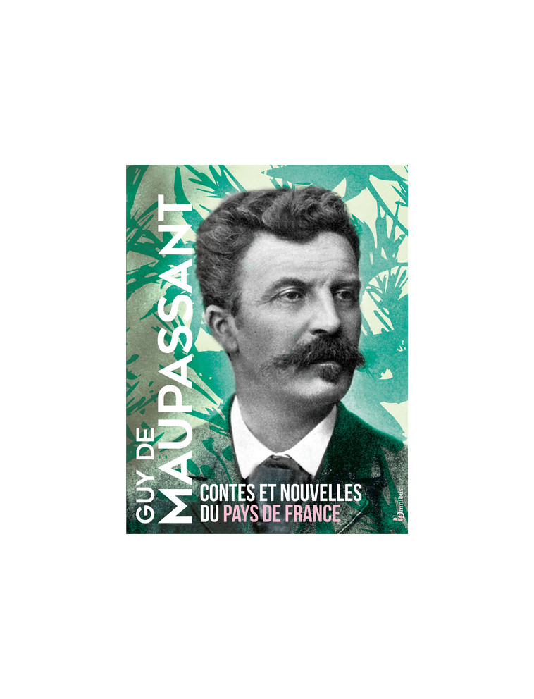 Contes et nouvelles du pays de France - Guy de Maupassant - OMNIBUS