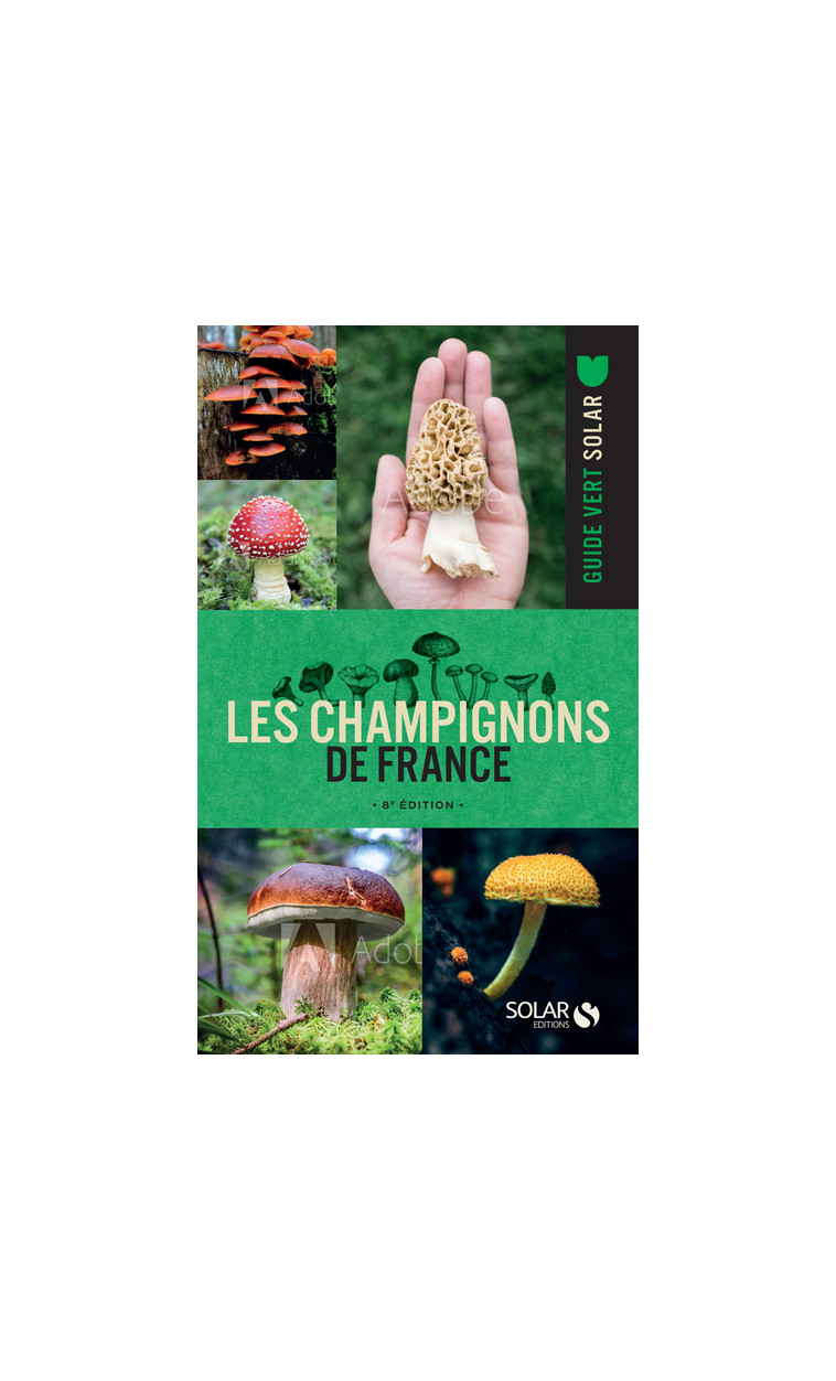 Les champignons de France - 8e édition - 8e edition -  Collectif - SOLAR