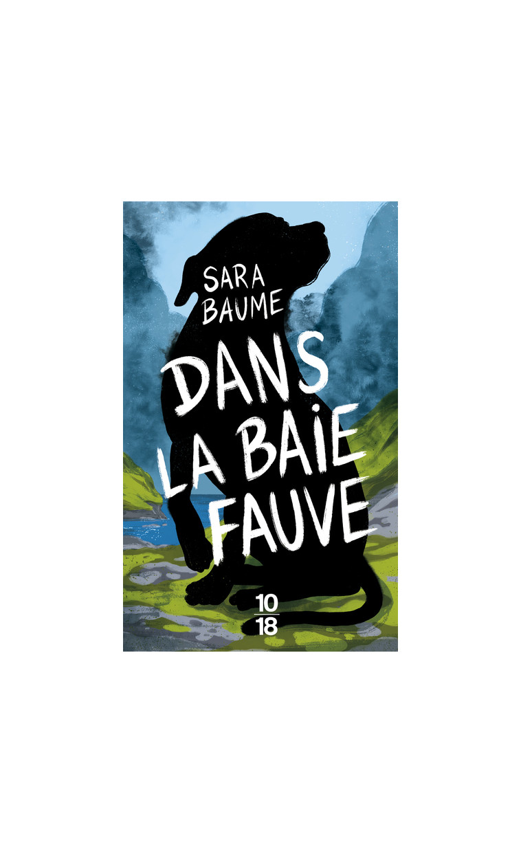 Dans la baie fauve - Sara Baume - 10 X 18