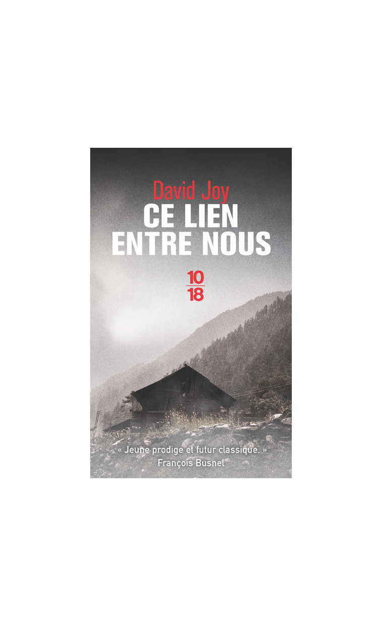 Ce lien entre nous - David Joy - 10 X 18