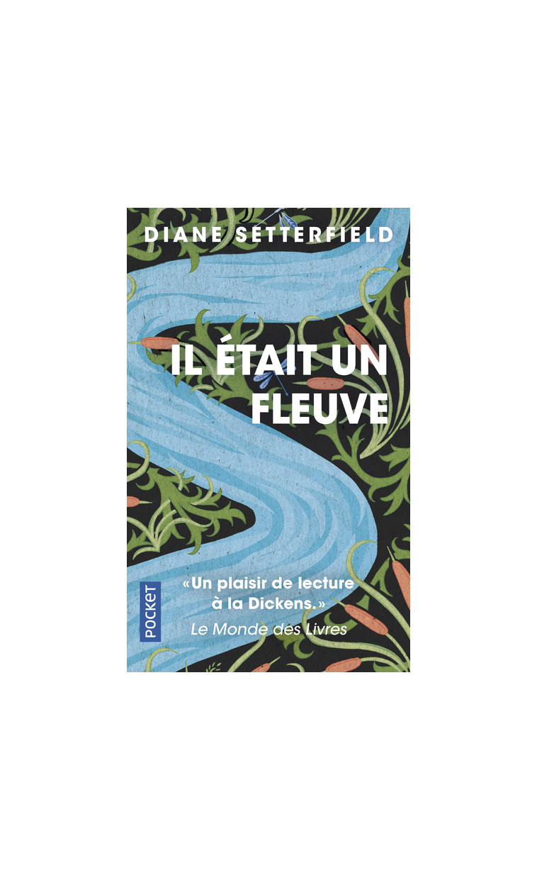 Il était un fleuve - Diane Setterfield - POCKET