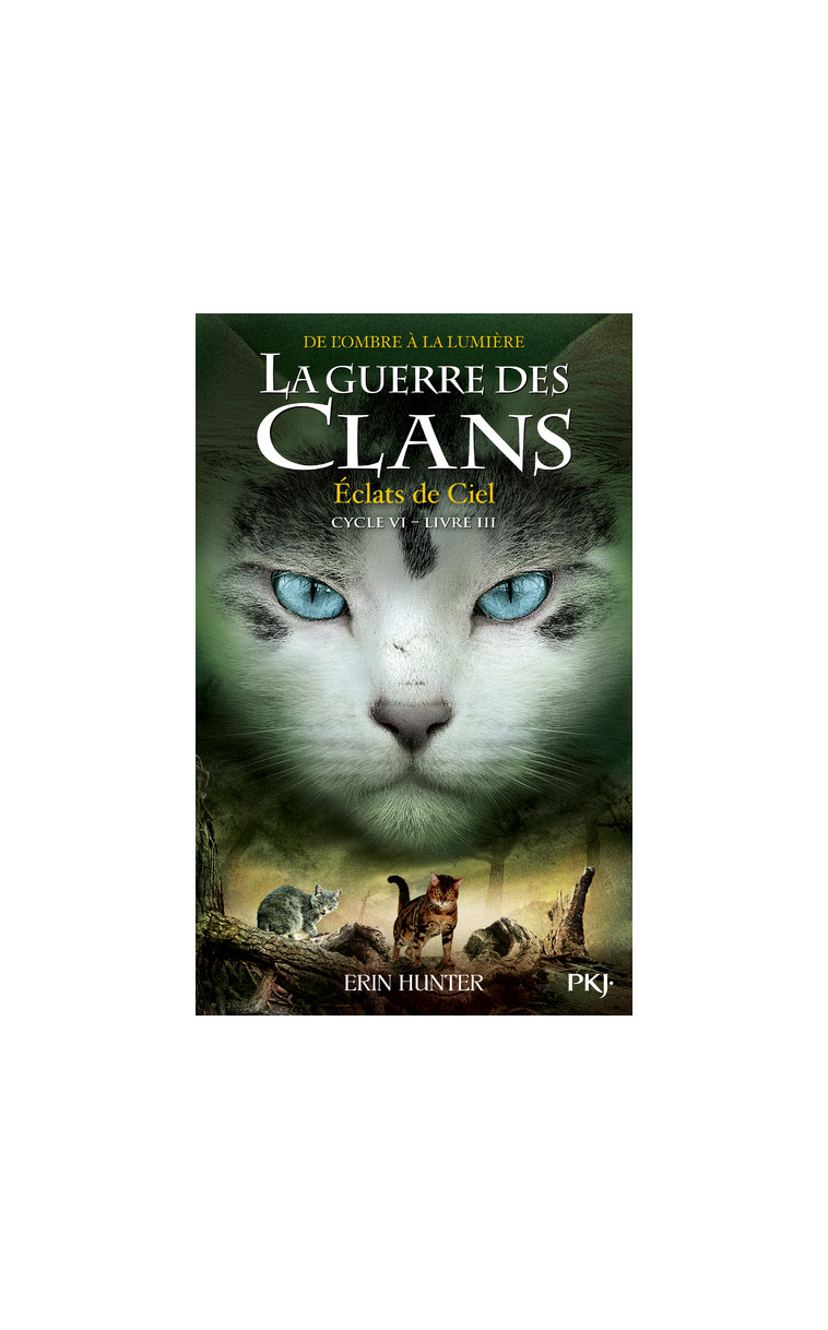 La Guerre des clans, Cycle VI - tome 3 Éclats de Ciel - Erin Hunter - POCKET JEUNESSE