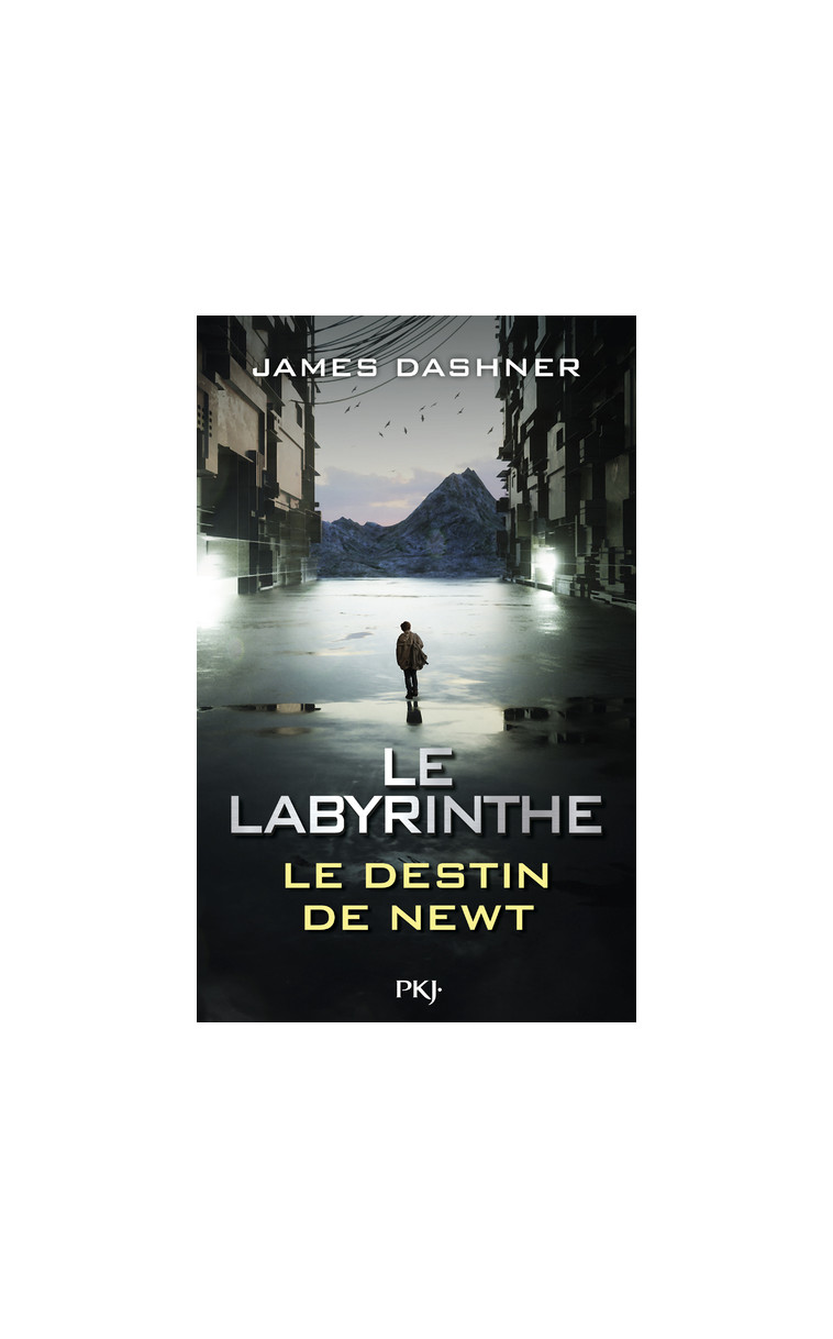 Le Labyrinthe - Le destin de Newt - James Dashner - POCKET JEUNESSE