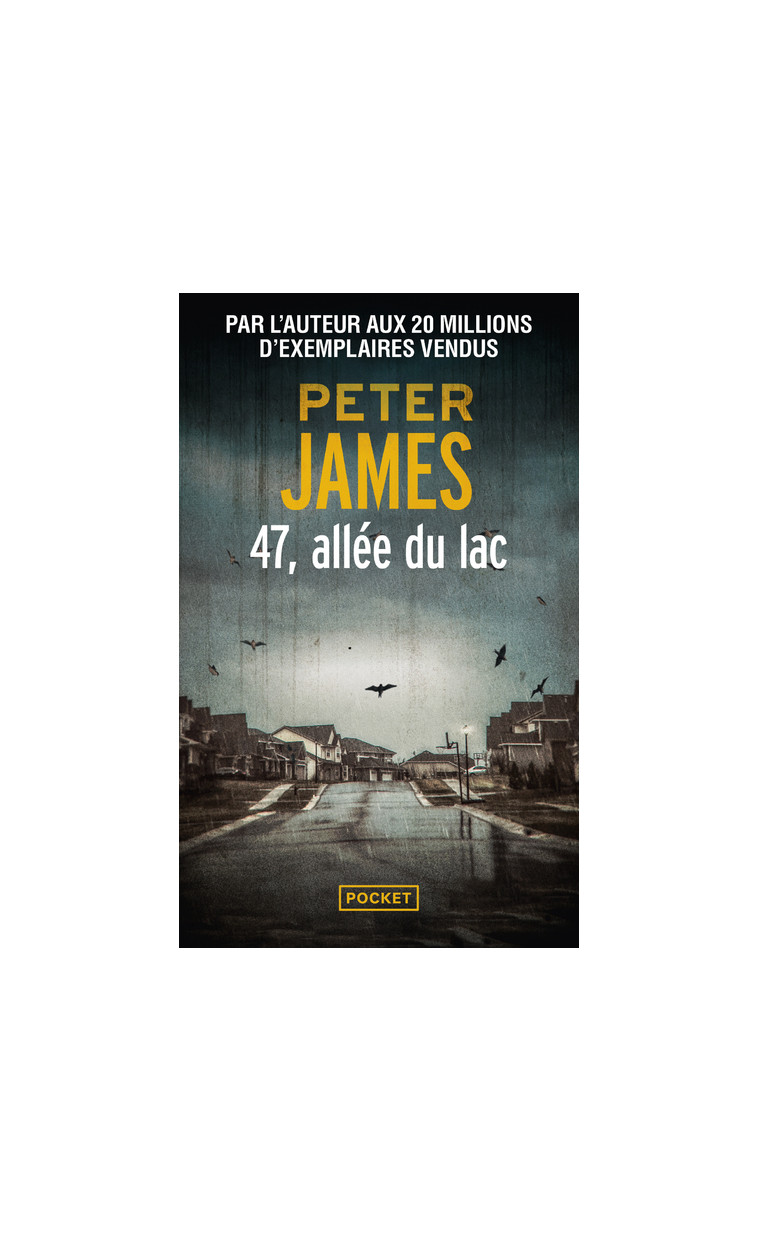 47, allée du lac - Peter James - POCKET