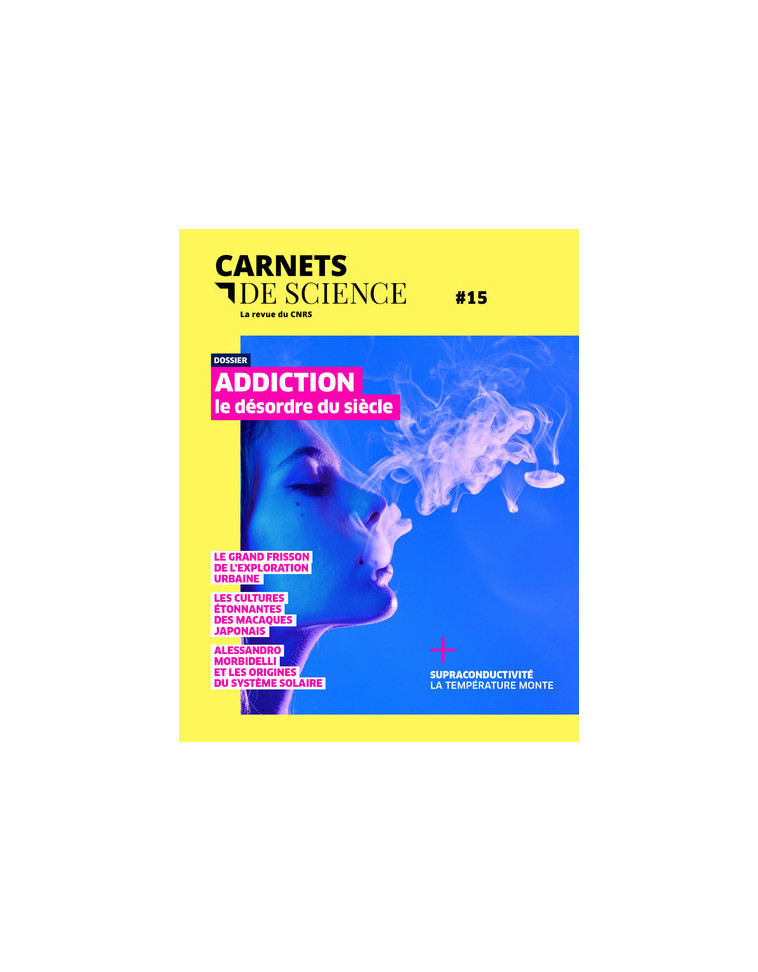 Carnets de science 15 -  Collectif - CNRS EDITIONS