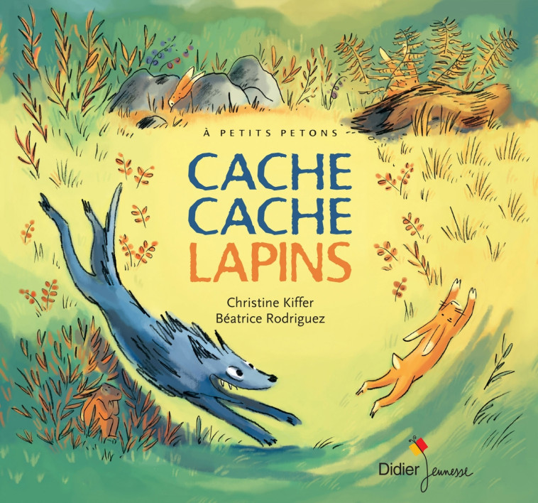 Cache Cache Lapins - Béatrice Rodriguez - DIDIER JEUNESSE