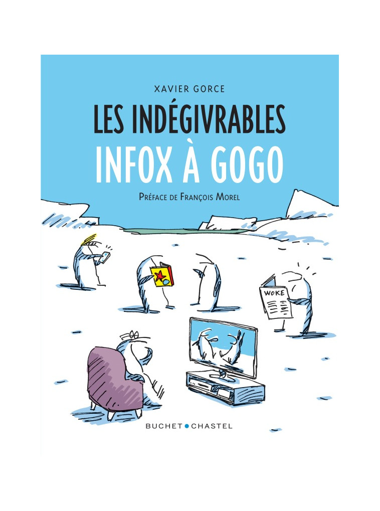 Les Indégivrables Infox à gogo - Xavier Gorce - BUCHET CHASTEL