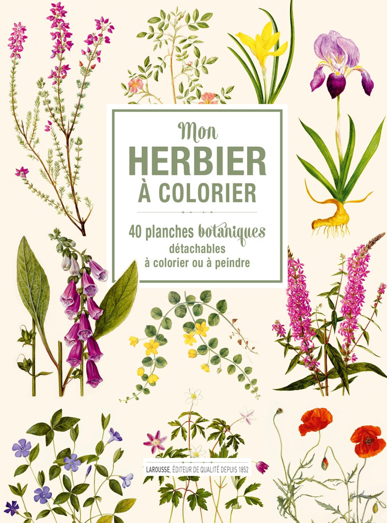 Mon herbier à colorier - XXX - DESSAIN TOLRA