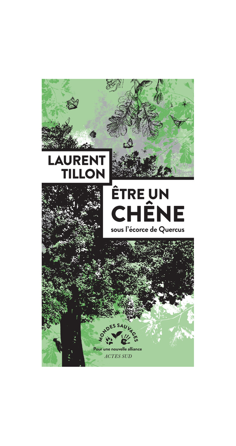 Être un chêne - Laurent Tillon - ACTES SUD