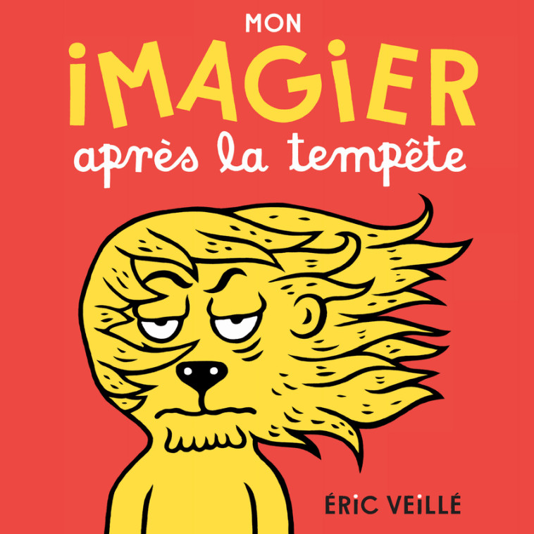 Mon imagier après la tempête - Éric Veillé - ACTES SUD